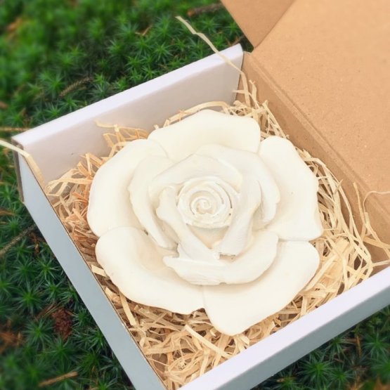 Růže XXL + dárková krabička